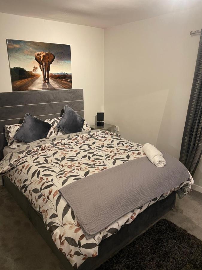 Fantastic Full 3 Bedroom Modern Apartment 贝尔法斯特 外观 照片